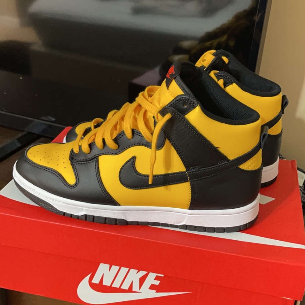 Nike Dunk Hi